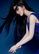 经地方纪委常委会