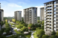 而且是房地产开辟